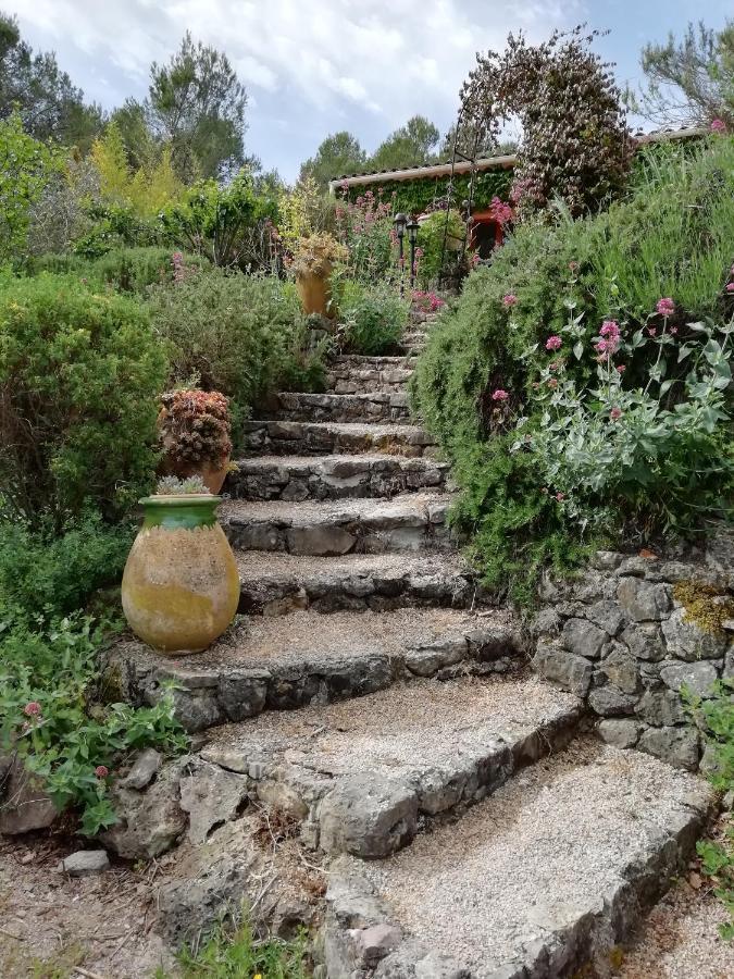 Chambre d'Hôte Le Mas des Romarins Les Arcs-sur-Argens Exterior foto