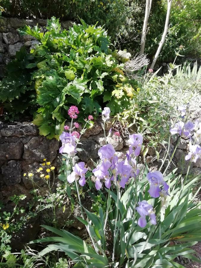 Chambre d'Hôte Le Mas des Romarins Les Arcs-sur-Argens Exterior foto